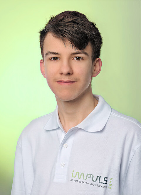 impulsbern-bachofner-raphael